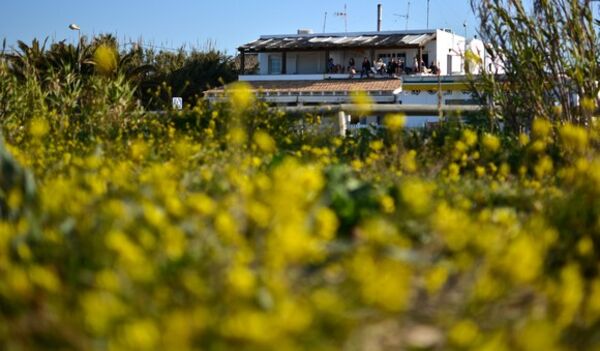 Beautiful flowers and the view to the A Frame Surfcamp
