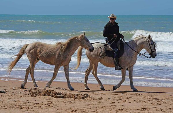 Riders on the beach are often seen in El Palmar Andalusia